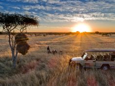 Etosha Heights Private Reserve