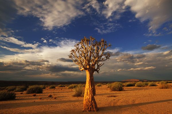 Gondwana Canyon Park