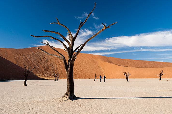 Kulala Wilderness Reserve, Dead Vlei