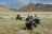 Kulala Wilderness Reserve, Quad Bike Ausflug Kulala Wilderness Reserve, Quad Bike Ausflug