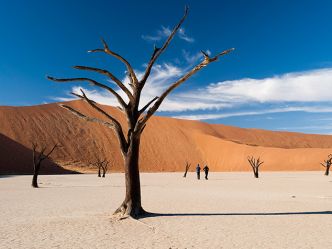 Kulala Wilderness Reserve, Dead Vlei Kulala Wilderness Reserve, Dead Vlei