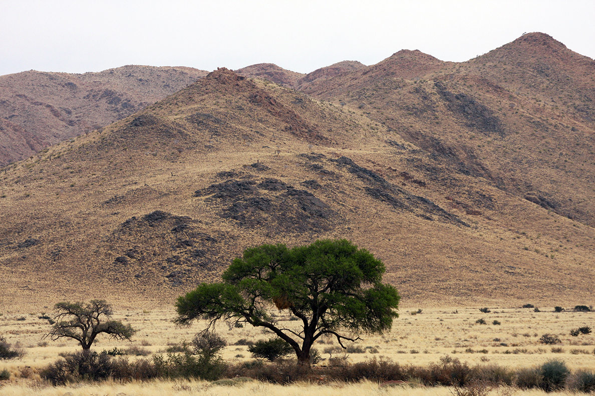 Namib Naukluft