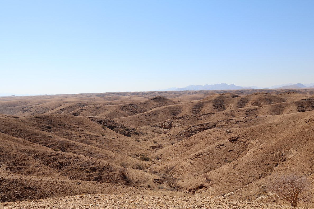 Namib Naukluft