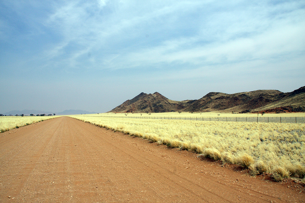 Namib Naukluft