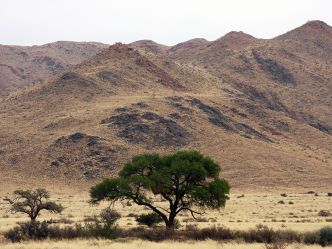 Namib Naukluft Namib Naukluft