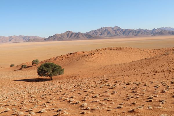 NamibRand Nature Reserve