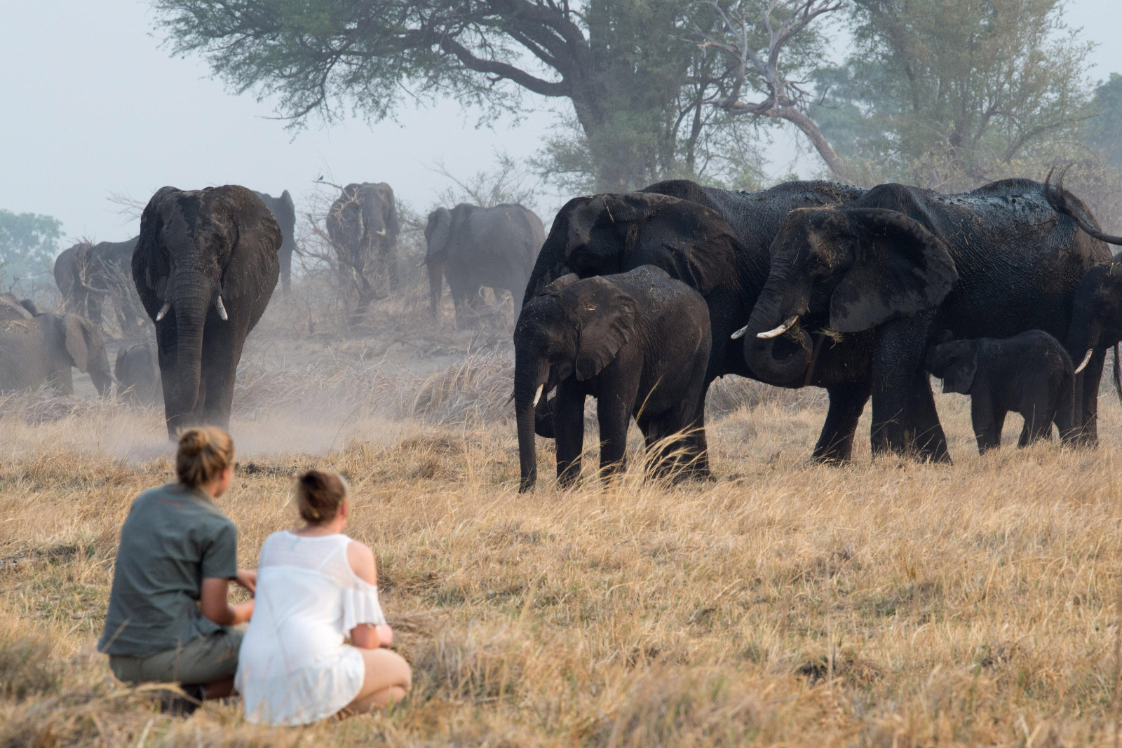 Caprivi - Bush Walk Nambwa Tented Lodge