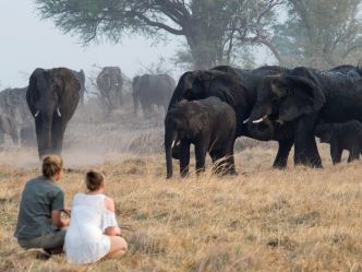 Caprivi - Bush Walk Nambwa Tented Lodge Caprivi - Bush Walk Nambwa Tented Lodge