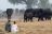 Caprivi - Bush Walk Nambwa Tented Lodge Caprivi - Bush Walk Nambwa Tented Lodge
