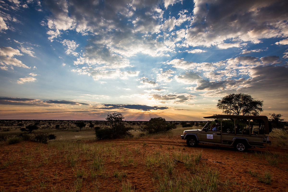 Kalahari - Naturfahrt im Gondwana Park