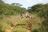 Waterberg - Ausflug Waterberg Plateau Lodge Waterberg - Ausflug Waterberg Plateau Lodge