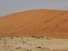 Abenteuer Namibia - Dead Vlei