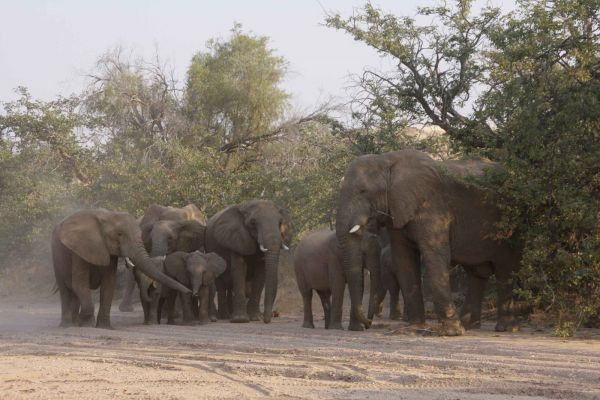 Abenteuer Namibia