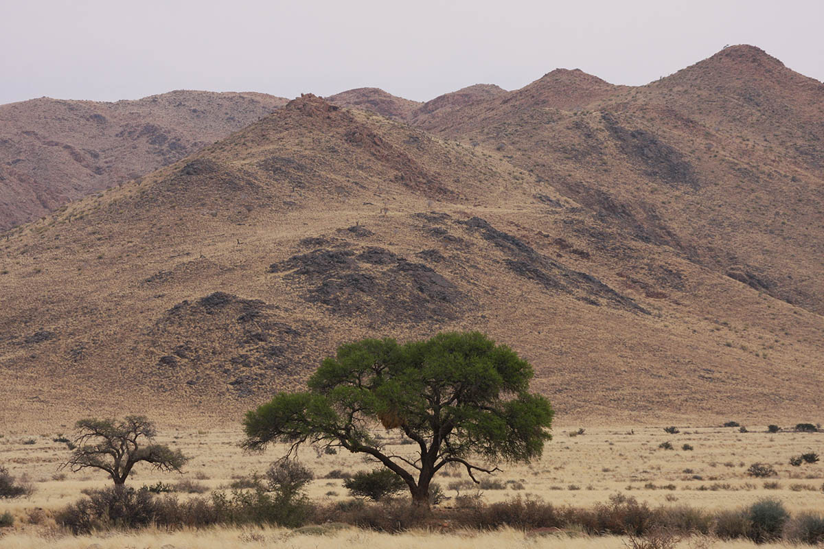 Namib Naukluft