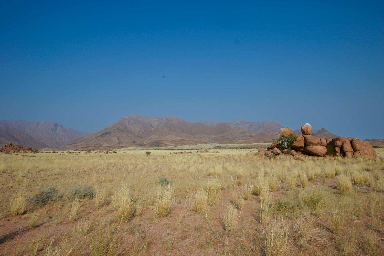 Desert Tour - Brandberg