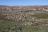 Desert Tour - Cederberg
