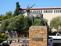 Windhoek - Kudu Denkmal