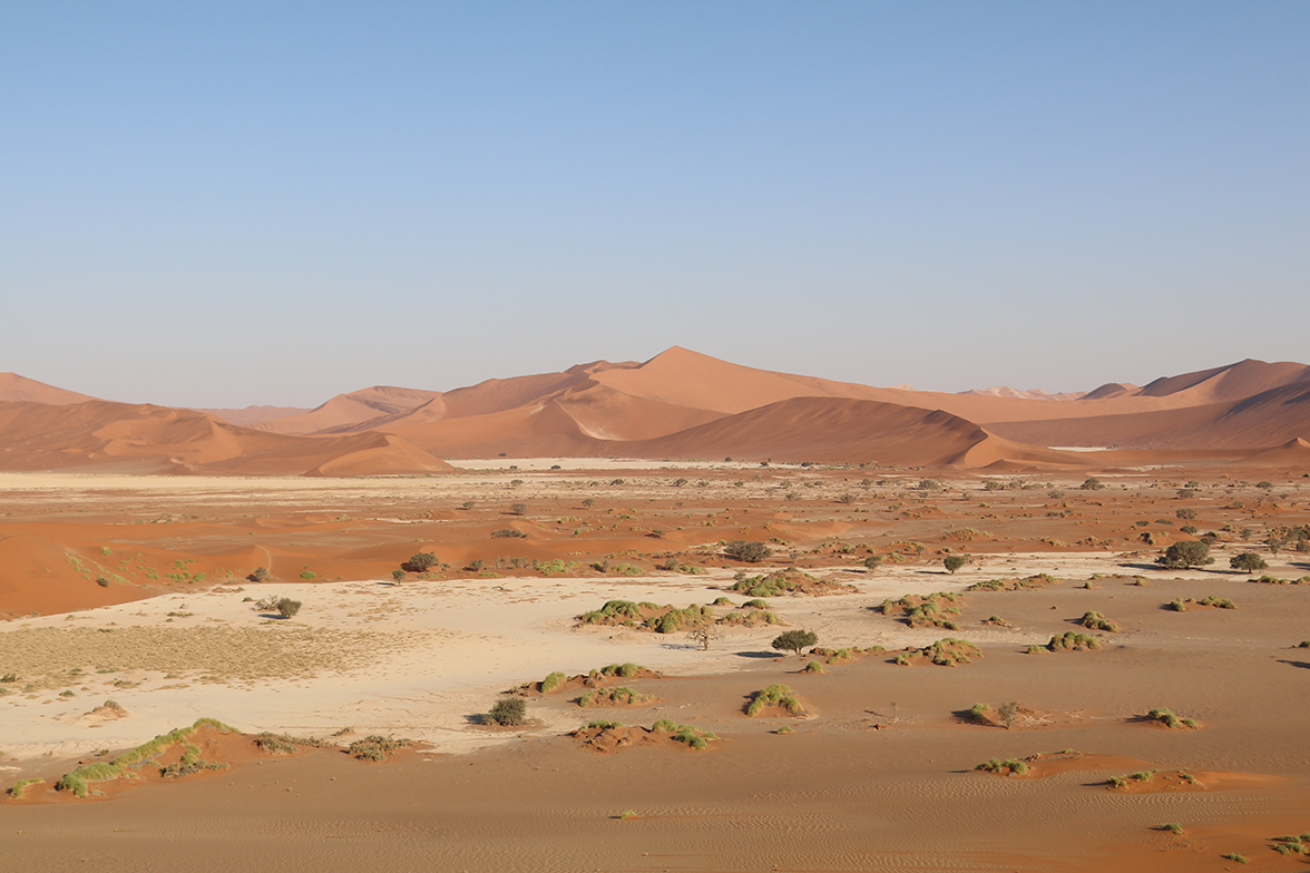 Grand Explorer - Sossusvlei