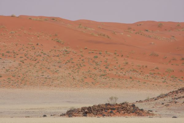 Herrliche Wüsten Namibias