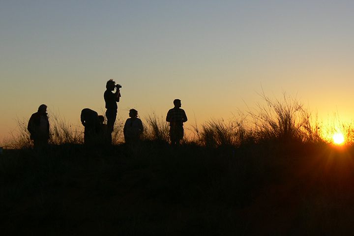 Klassisches Namibia - Morgenspaziergang bei Palmwag