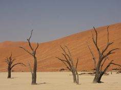 Klassisches Namibia - Dead Vlei