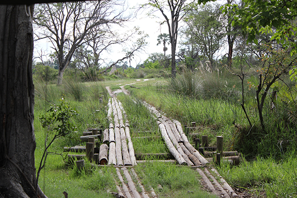 Namibia &amp; Botswana - Brücke im Moremi Game Reserve