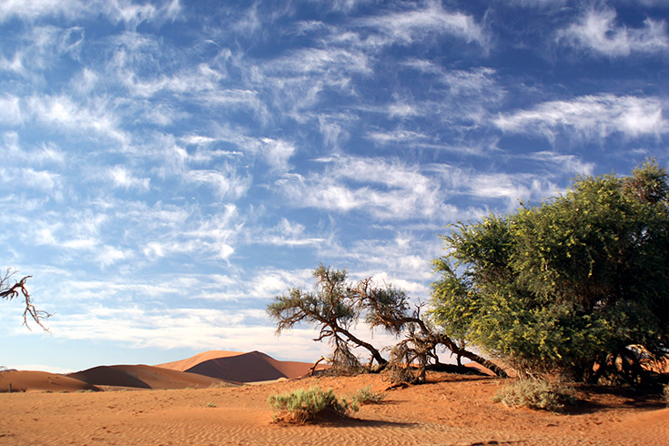 Sossusvlei
