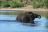 Namibia &amp; Botswana - Elefanten im Chobe River