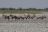 Makgadikgadi Pan