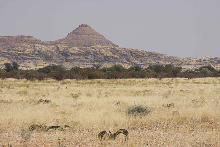 Damaraland