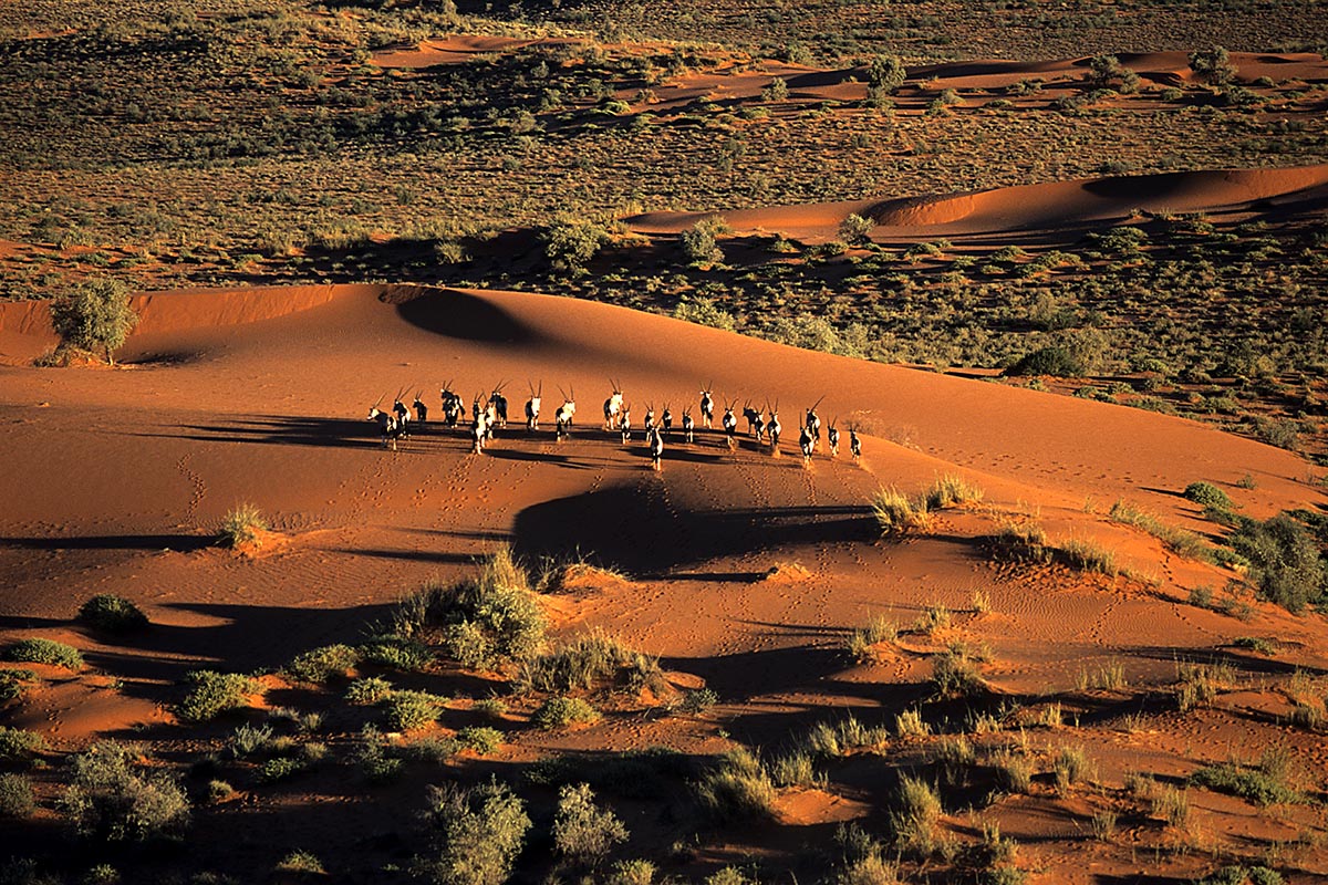 Kalahari Park