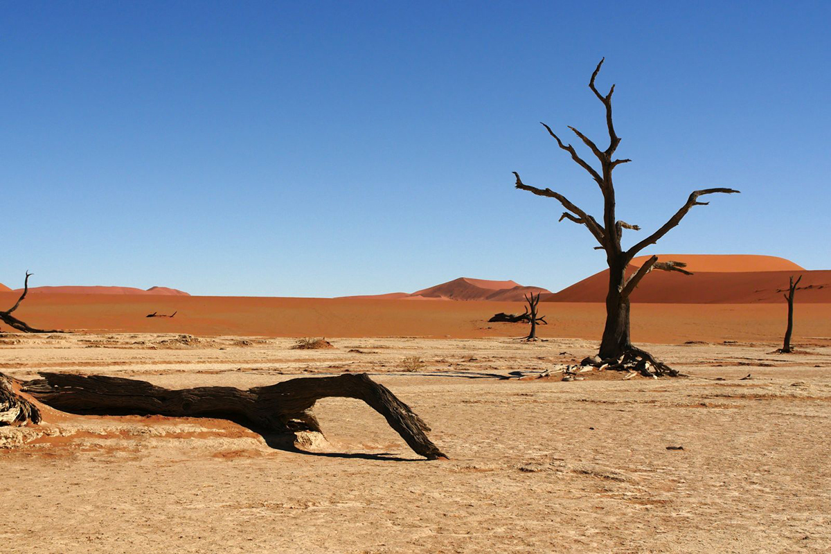 Experience Namibia, Ausflug zum Dead Vlei