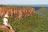 Waterberg