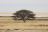 Etosha National Park