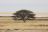 Etosha National Park