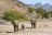 Umfassendes Namibia - Elefanten in der Palmwag Konzession im Damaraland