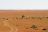 Umfassendes Namibia - Endlose Piste in der Palmwag Konzession im Damaraland