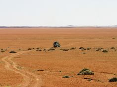 Umfassendes Namibia - Endlose Piste in der Palmwag Konzession im Damaraland