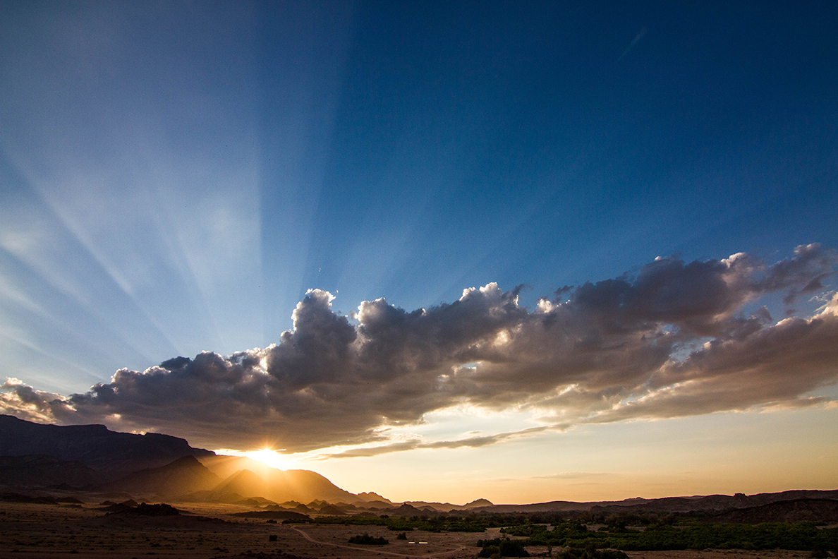 Wild Namibia Adventure