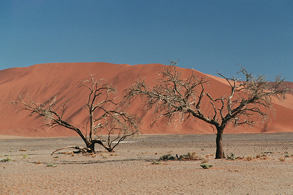 Flying Namibia - Sossusvlei