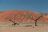 Flying Namibia - Sossusvlei