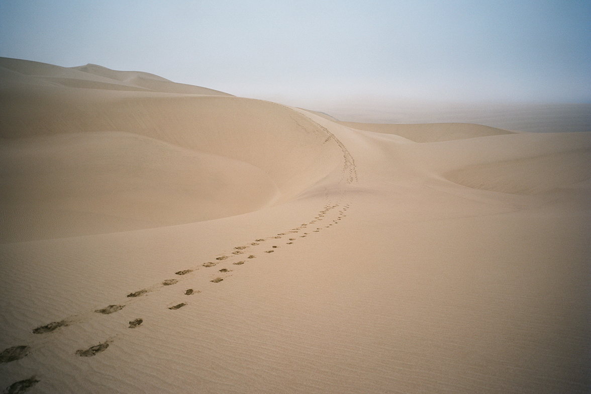 Natural Selection Flugsafari - Skeleton Coast