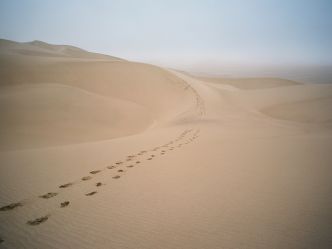 Natural Selection Flugsafari - Skeleton Coast Natural Selection Flugsafari - Skeleton Coast