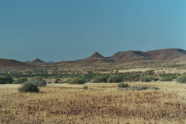 Spread your Wings - Damaraland