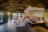 Spread your Wings - Ongava Lodge