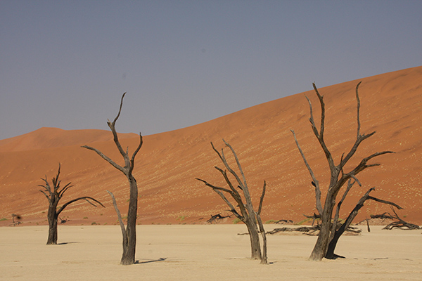 Kontraste: Windhoek - Cape Town, Dead Vlei