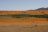 Kontraste:; Windhoek - Cape Town, Blumenpracht im Namaqualand