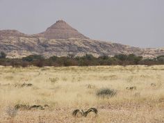 Namibia kompakt - Damaraland