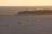 Natur pur - Etosha National Park