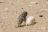 Natur Pur - Living Desert Tour, Swakopmund